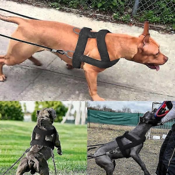 Kraftig hundsele för viktträning för schäfer och pitbull S