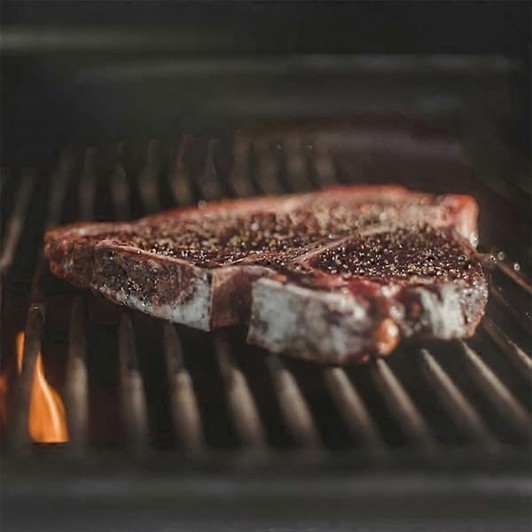 2-pack köttprober för termometrar med 2 BBQ-probehållare As Shown