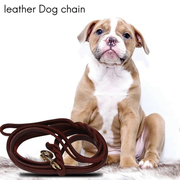 2M Lång Läderflätad Dragrem Koppel CJY Dark brown