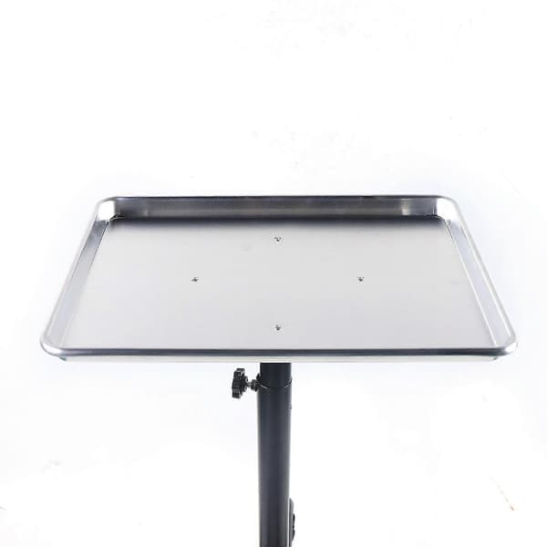 Salong Aluminium Vagn Rullvagn Spa Skönhetsverktyg Silver