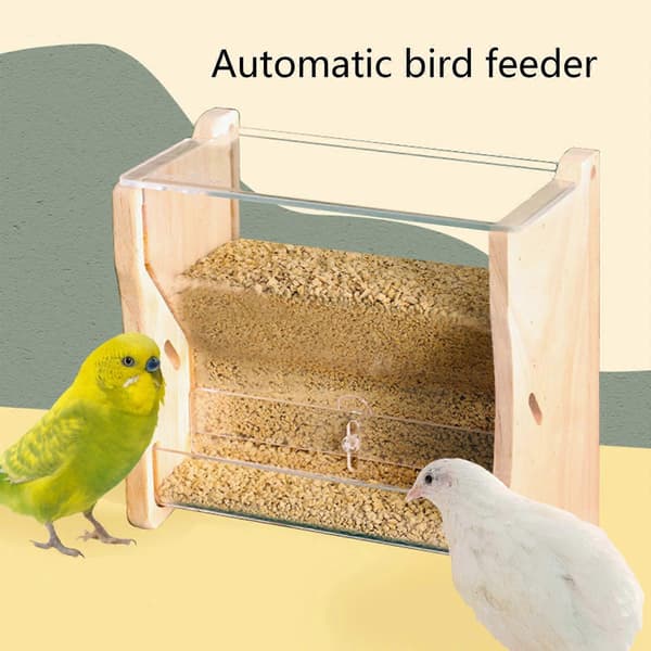 Undulatfoderautomat Ingen Rod Fugl Papegøje Foderautomat Nymfeparakit Bur Tilbehør Fodringsudstyr til Små Papegøjer M