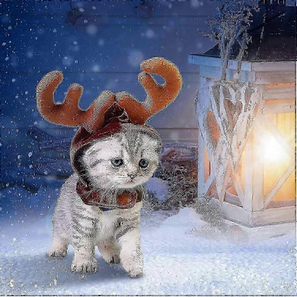 Kæledyrs Jule Gevir Hat Teddy Hund Julehat Kat Julemandshat