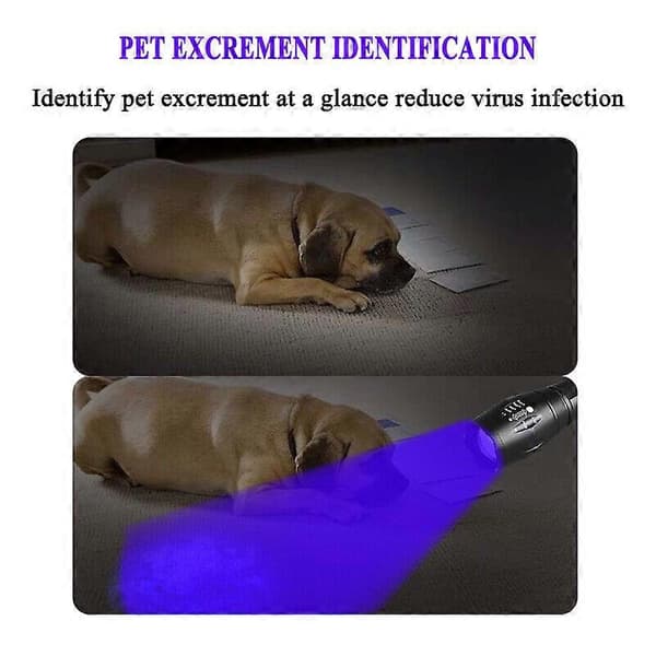 Super Bright 120000lm UV Lommelygte Ultraviolet Blacklight Lygte LEDCJY