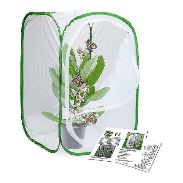 2-pack insekts- och fjärilshabitatbur
