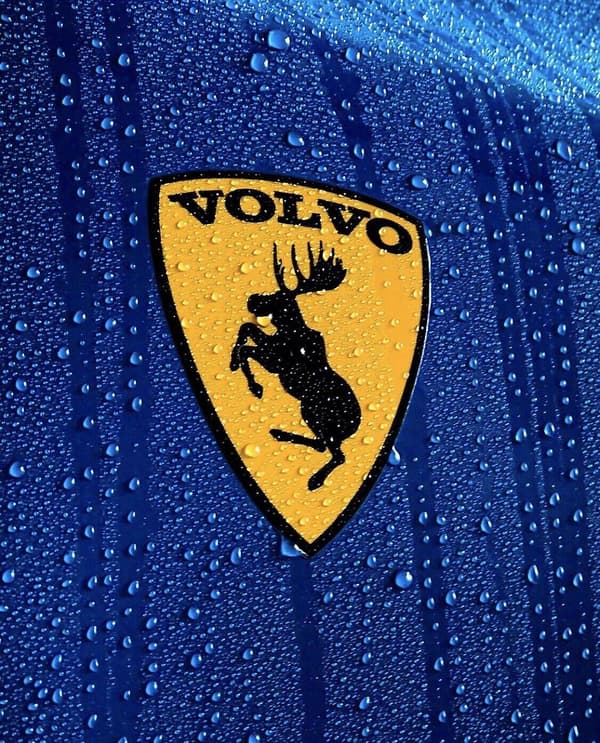 Par (2) aitoa Prancing Moose VOO 3 perinteistä vinyylitarraa