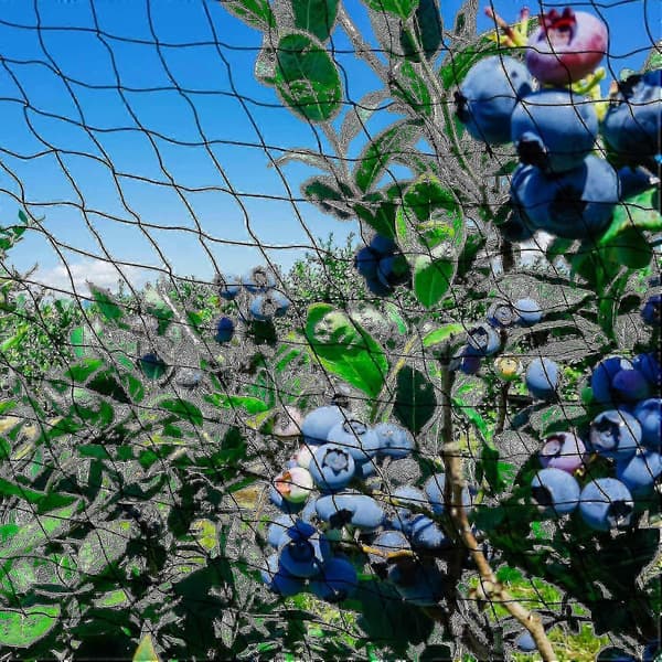 Kraftigt have net til fuglebeskyttelse 15m kvadratisk