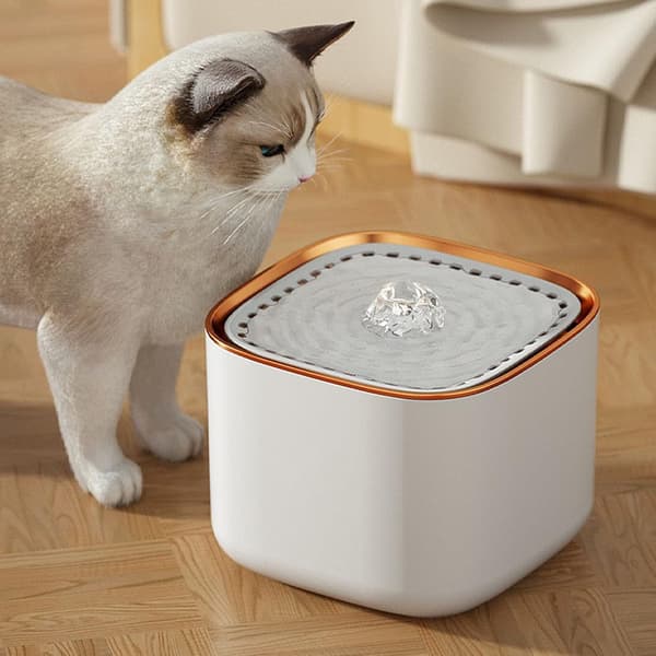 Kattfontän, Automatisk Dricksfontän för Katter, Vattenfontän för Husdjur, 3l, USB-driven