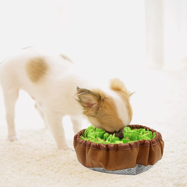 Snusemåtte til hunde, stimulerer hundens naturlige fouragerings-evne, grøn