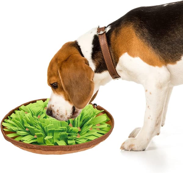 Snusematte for hund, stimulerer hundens naturlige søkeevne, grønn