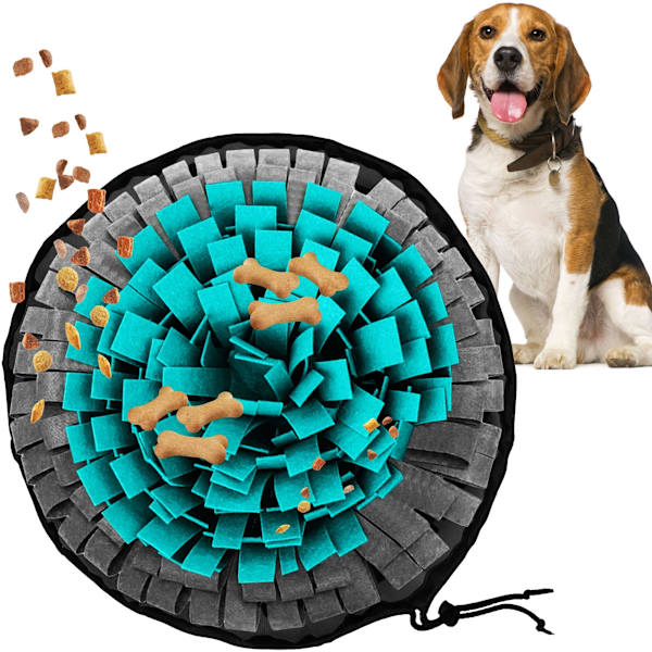 LUFTMATTA FÖR HUND PJ-094