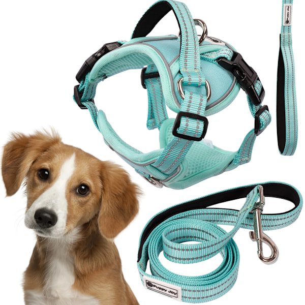 SNORE OG SELER PJ-057 M GREEN