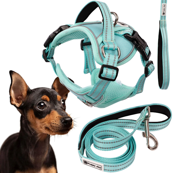 Koppel och sele för hund PJ-053 Grön S