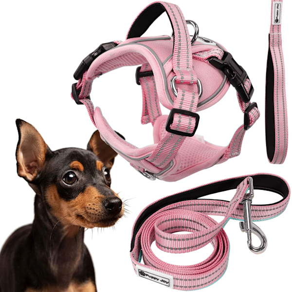 SNORE OG SELER PJ-052 S PINK