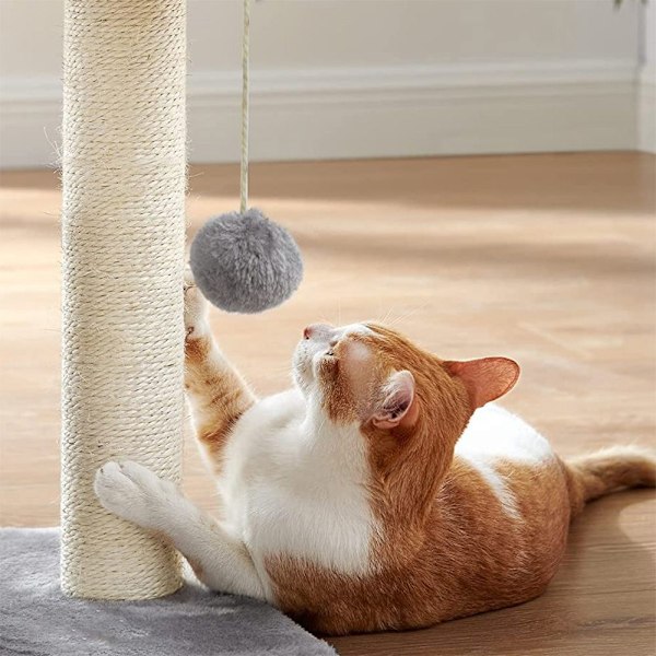 GRÅ KATT Scratcher 351407