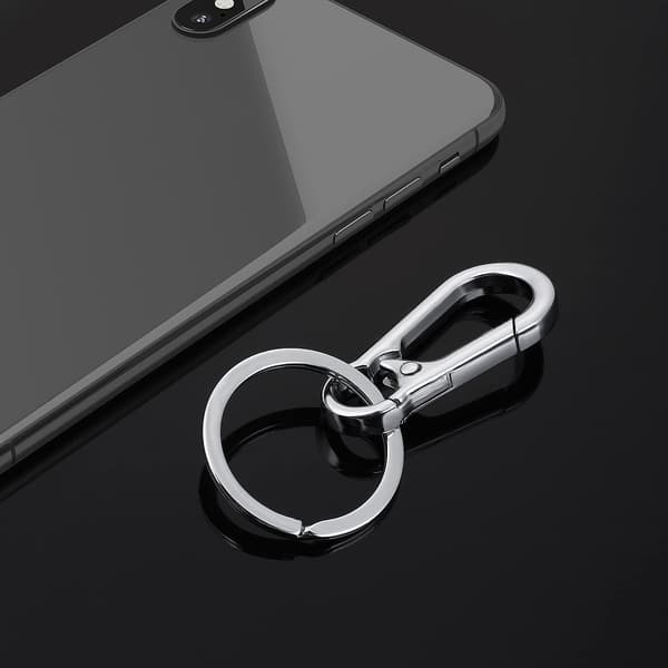 Metal Keychain Carabiner Key Ring Key Chain Clips Hook Holder for Unisex, 4-Pack