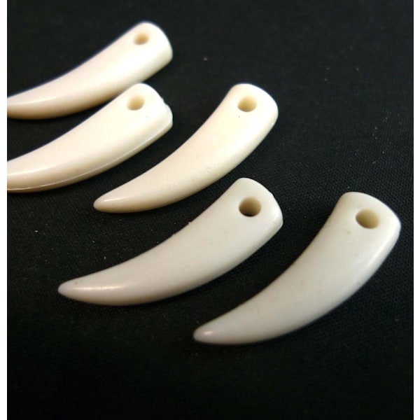 Tooth for making necklaces/earrings etc. 5-pack