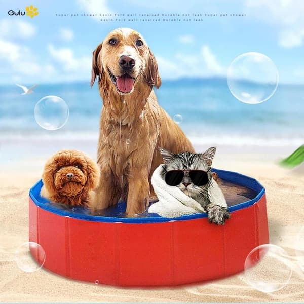 Foldbar kæledyrspool, børnepool i hård plast, sammenklappeligt badekar, PVC udendørspool til hunde, katte, børn