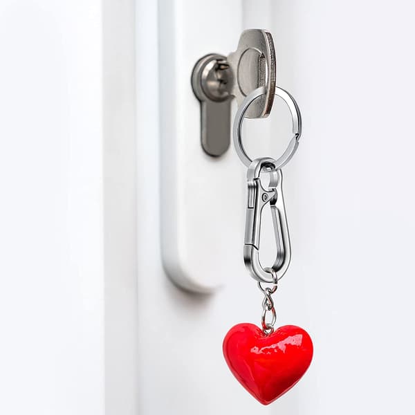 Metal Keychain Carabiner Key Ring Key Chain Clips Hook Holder for Unisex, 4-Pack