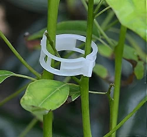 Praktisk och vacker plastspänne trädgårdsdekoration för att koppla ihop växter 300 växtstödklämmor grönsaker fast surrningskrok