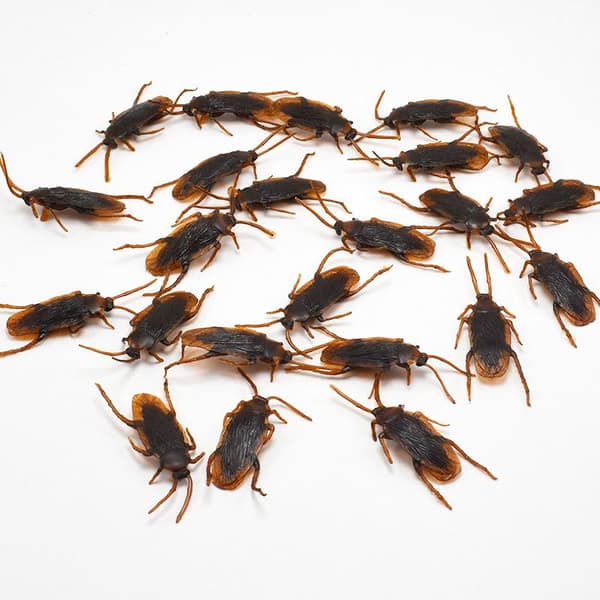 24-pack Falska Kackerlackor i Plast - Skämtkackerlackor, Gag-Presenter