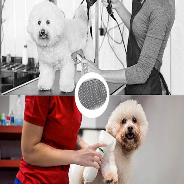 Hundeføntørrer / Hårtørrer til Hunde - Børste med Hårtørrer