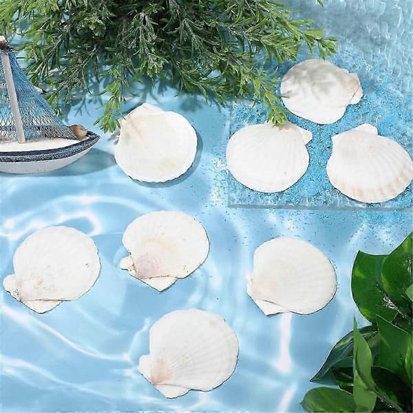 100 Pcs Seashells for Crafts Natural Large Scallop White Oyster Shells Bulk for Decorating DIY Home Beach (FMY)