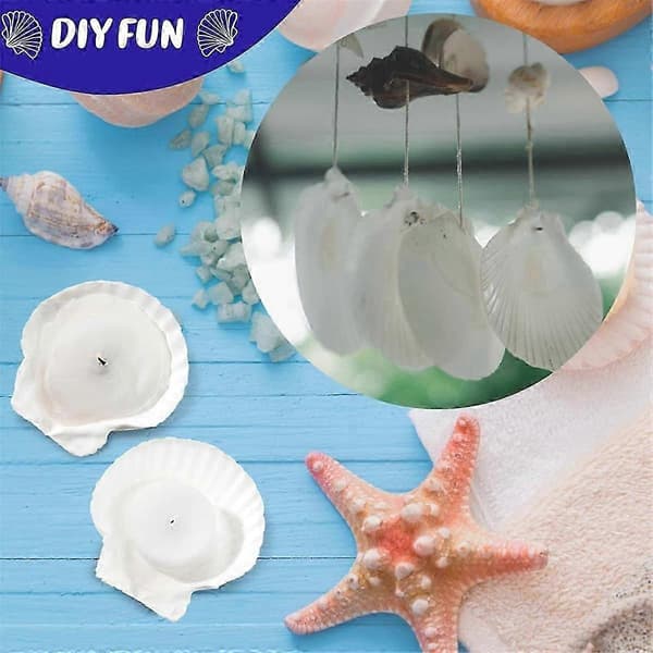 100 Pcs Seashells for Crafts Natural Large Scallop White Oyster Shells Bulk for Decorating DIY Home Beach (FMY)