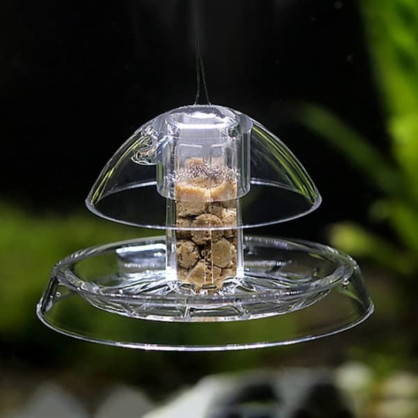 1 gennemsigtig snegleholder, sneglebur til akvarium