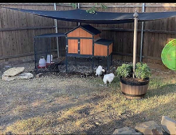 Hundkoja Skuggskydd för Utomhus Hundkoja och Stor Djurbur 10ft x 10ft 26s