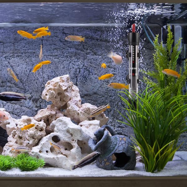 (60 L, 50 W) Aquarium Heater - Adjustable Thermostat - With 2 Suction Cups