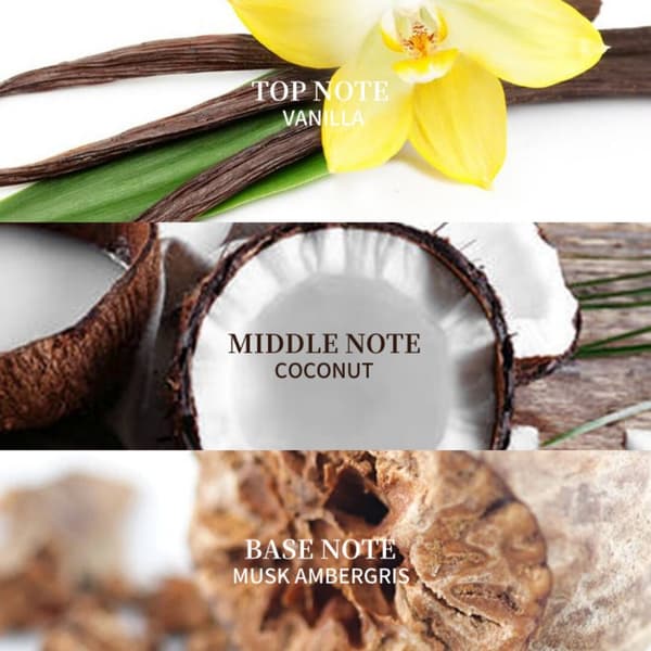 Vanilla Coconut Roll-On Perfume. 30ml. Portable. Long-lasting scent for wrists and neck.