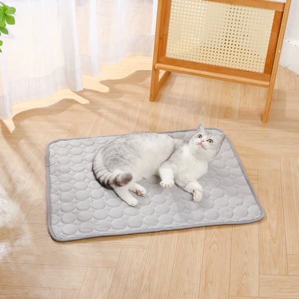 Hund Kat Måtte Seng Selvkølende Ikke-giftig Måtte Pad Kæledyr Is Silke Kølemåtte 62 * 50 cm Grå