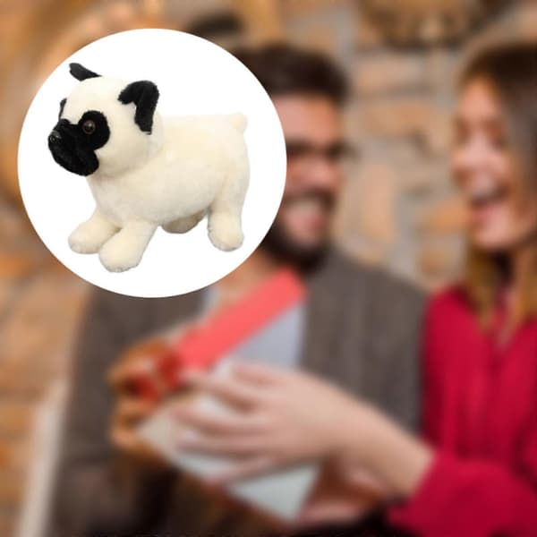 Söt gosedjur hund soffa prydnader tecknad rolig dekoration gosedjur White 20cm