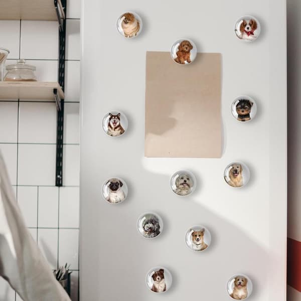12 pcs Magnetic Glass Refrigerator Magnets, 30mm (Dog)