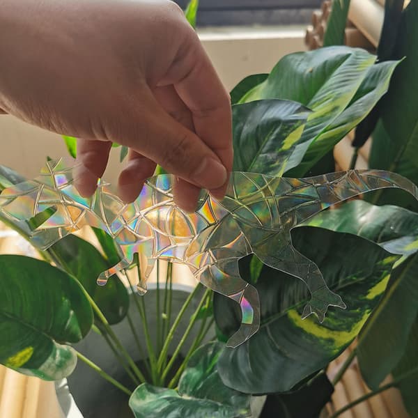 6 Pcs Rainbow Suncatchers Window Stickers Anti Collision Window Decals for Birds