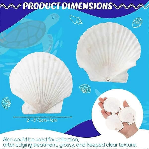 100 Pcs Seashells for Crafts Natural Large Scallop White Oyster Shells Bulk for Decorating DIY Home Beach (FMY)