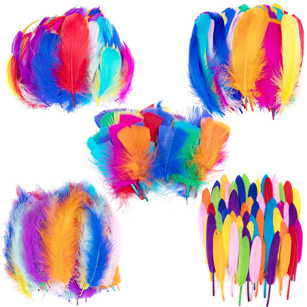 300Pcs Colorful Feathers, 5 Styles DIY Craft Feather, Crafting