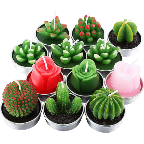 12 st Cactus Rose Tealight Ljus Handgjorda Delikata Succule