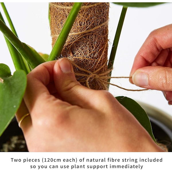 Växtstöd för Klättrande Inomhusväxter, Sphagnum Klätterpinne Förlängningsbar upp till 73 cm, Klar för Omedelbar Användning med Snöre, Ger Stöd till