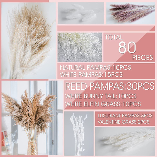 Naturlig torkad pampasgräsbukett, boho heminredning bukett, Phragmites torkade blommor, bukett för bröllopsblomsterarrangemang heminredning