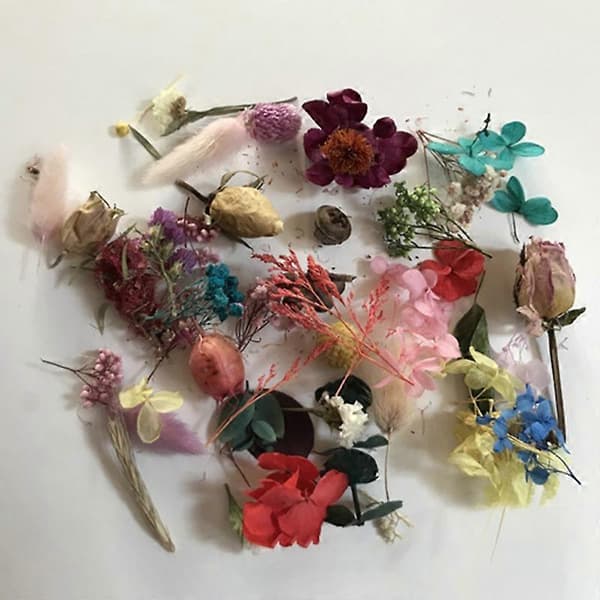 1 æske tørret blomst letvægts tilfældig stil tørret blomst smukke tørrede blomster til håndlavede stearinlys