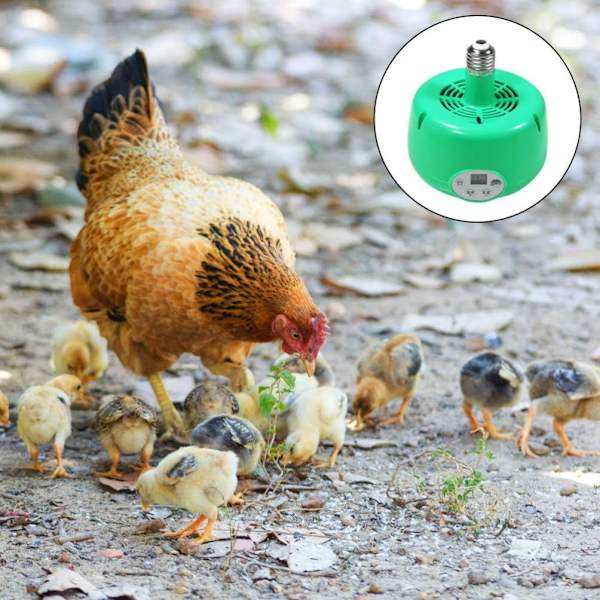 Varmelampe til kæledyr Kyllingehus Opvarmning Justerbar Temperatur Brooder Lamper til Kylling Firben Skildpadde Akvarium Slange Grøn