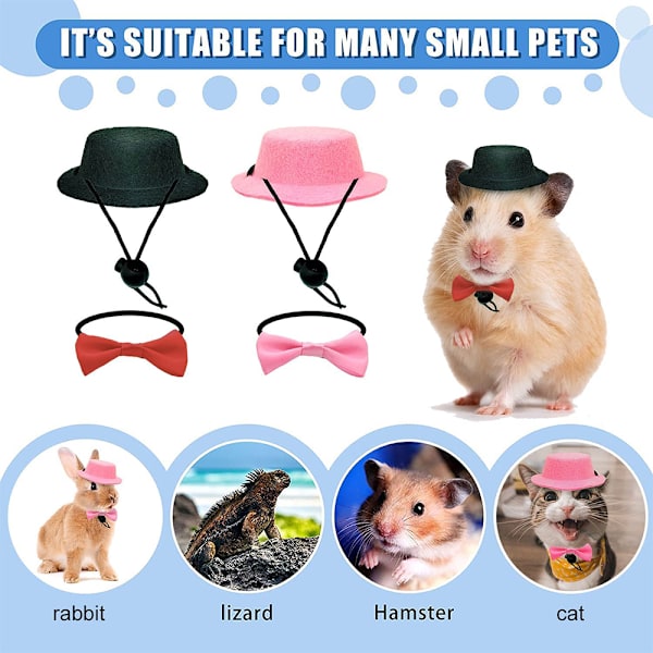 Festlig hatt för husdjur, kanin, marsvin, holländsk kanin, Totoro, igelkott
