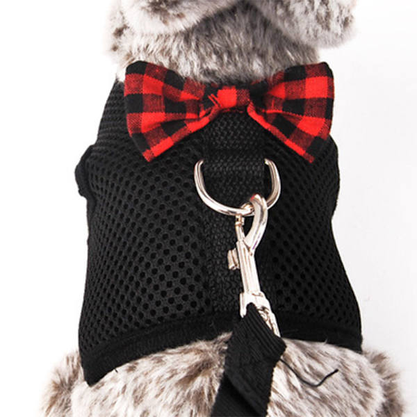 Guinea Pig Sele och Koppel Mjuk Mesh Liten Husdjur Sele med