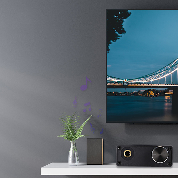 Koaksial Konverter DAC Digital Lydkonverter USB Lydkort