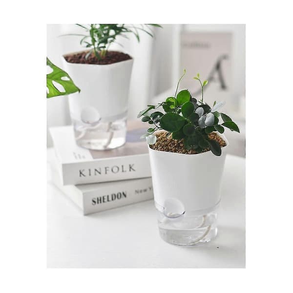 Hydroponisk Automatisk Absorberende Sukkulent Blomsterpotte -ende Blomsterpotte Hydroponisk
