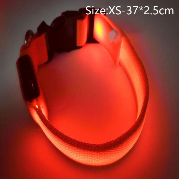 Dog LED rechargeable luminous collar adjustable reflective