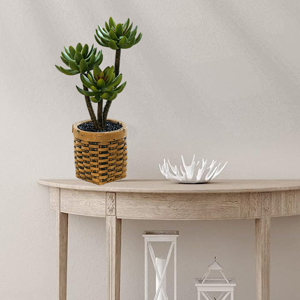 Konstgjorda suckulenter, bonsai, kreativa heminredningsartiklar,