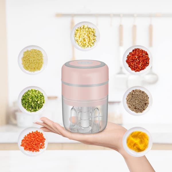 Bærbar foodprocessor til krydderier, nødder, grøntsager, kød, ideel gave til madelskere, 250 ml, rustfrit stål, let at samle og rengøre, rå