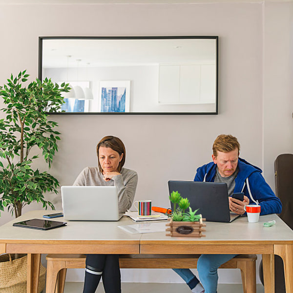 Simulerad suckulent kombination bonsai blomma och träkrukor